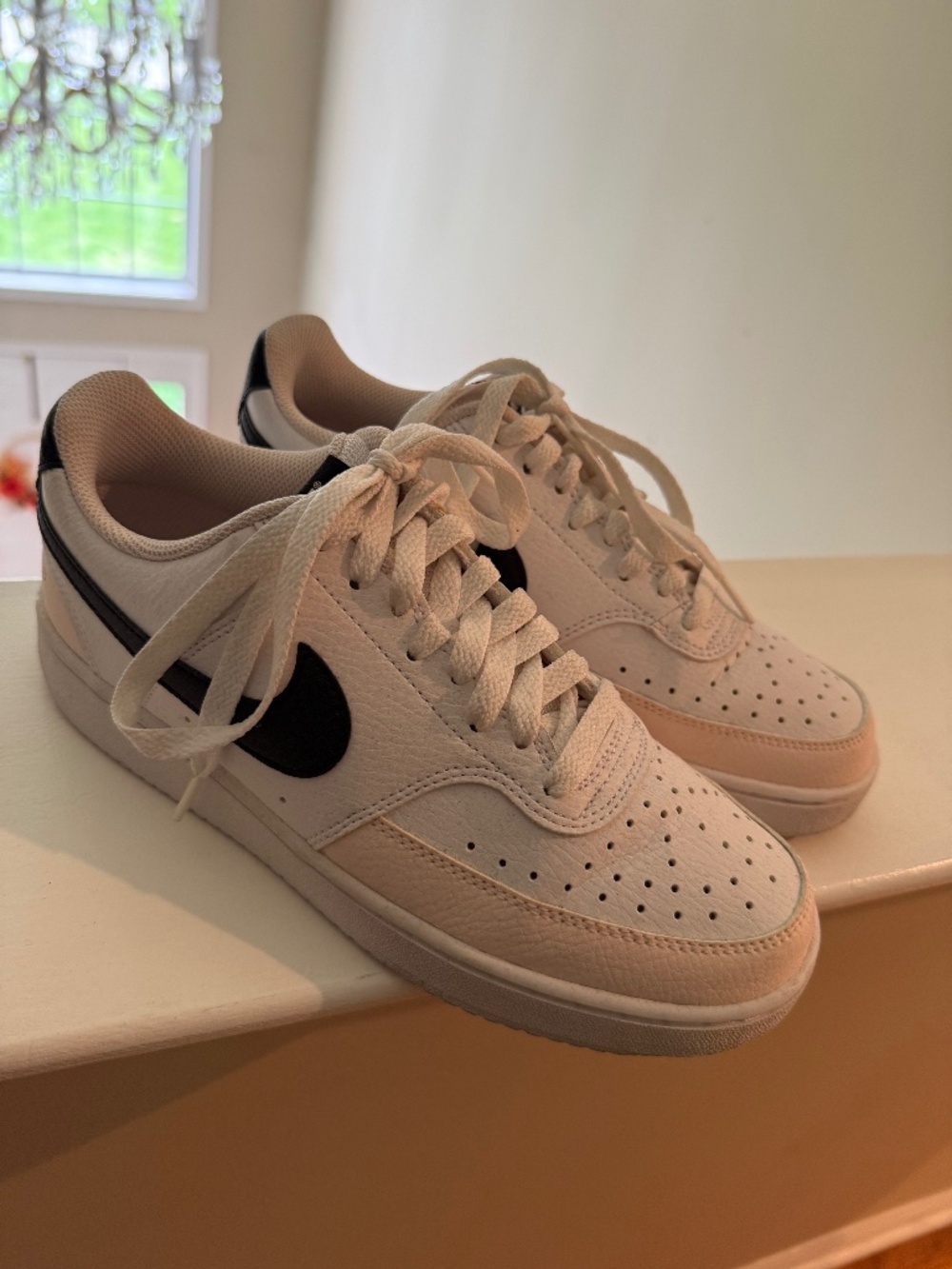 Nike Court Vision Low